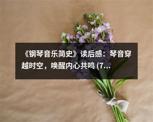 《鋼琴音樂簡史》讀后感：琴音穿越時空，喚醒內心共鳴 (750字)