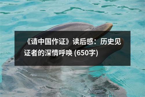 《請中國作證》讀后感：歷史見證者的深情呼喚 (650字)