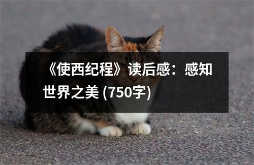 《使西紀(jì)程》讀后感：感知世界之美 (750字)