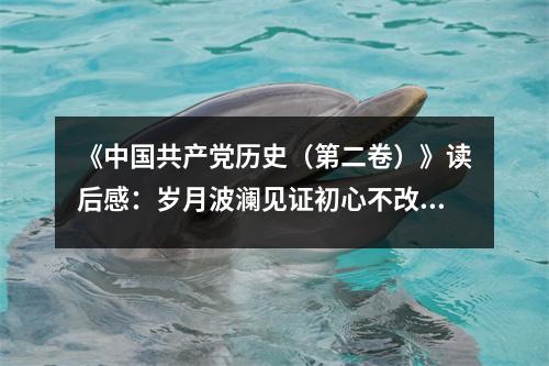 《中國(guó)共產(chǎn)黨歷史（第二卷）》讀后感：歲月波瀾見證初心不改 (1000字)