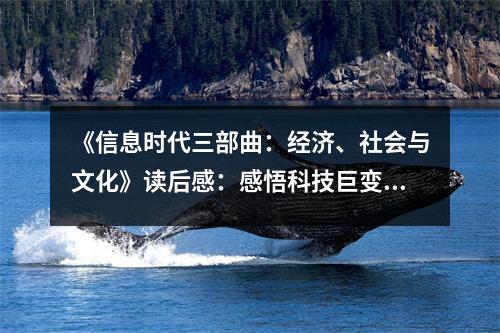 《信息時代三部曲：經(jīng)濟、社會與文化》讀后感：感悟科技巨變，擁抱未來無限 (1000字)