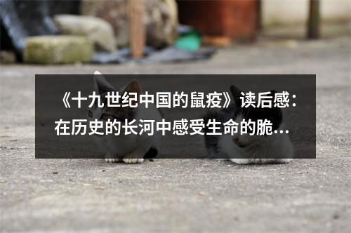 《十九世紀(jì)中國的鼠疫》讀后感：在歷史的長河中感受生命的脆弱 (750字)