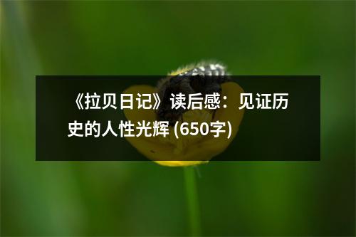 《拉貝日記》讀后感：見證歷史的人性光輝 (650字)