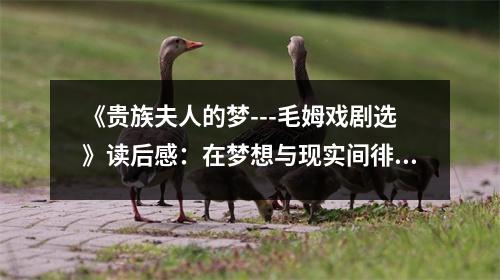 《貴族夫人的夢---毛姆戲劇選》讀后感：在夢想與現(xiàn)實間徘徊 (750字)