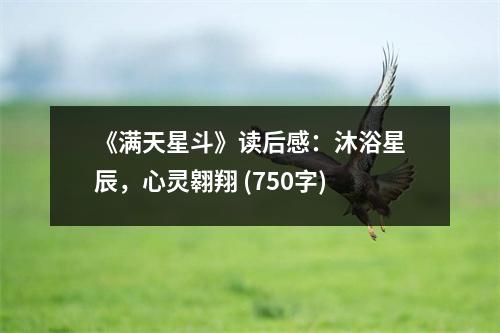 《滿天星斗》讀后感：沐浴星辰，心靈翱翔 (750字)