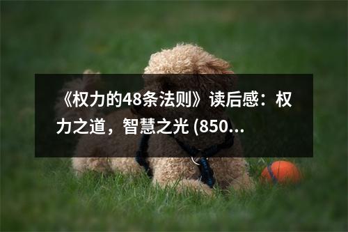 《權力的48條法則》讀后感：權力之道，智慧之光 (850字)