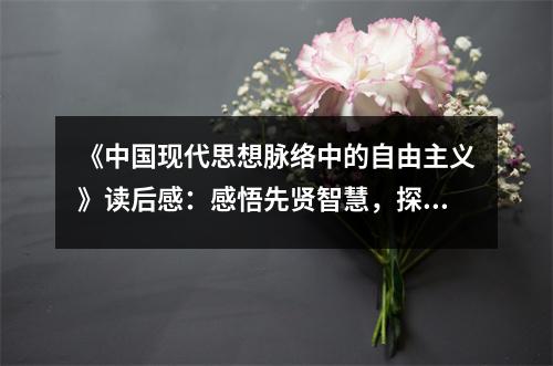 《中國現(xiàn)代思想脈絡(luò)中的自由主義》讀后感：感悟先賢智慧，探尋時(shí)代精神 (850字)