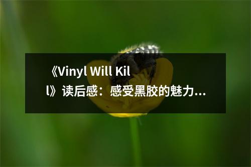 《Vinyl Will Kill》讀后感：感受黑膠的魅力 (800字)