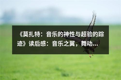 《莫扎特：音樂的神性與超驗的蹤跡》讀后感：音樂之翼，舞動靈魂的永恒旋律 (800字)
