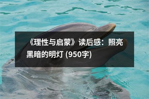 《理性與啟蒙》讀后感：照亮黑暗的明燈 (950字)