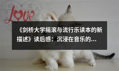 《劍橋大學(xué)搖滾與流行樂讀本的新描述》讀后感：沉浸在音樂的海洋 (1000字)