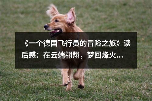 《一個(gè)德國飛行員的冒險(xiǎn)之旅》讀后感：在云端翱翔，夢回烽火歲月 (950字)