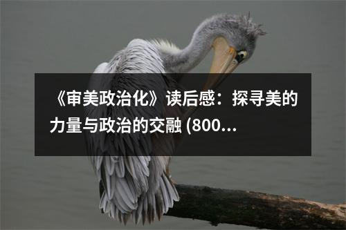 《審美政治化》讀后感：探尋美的力量與政治的交融 (800字)