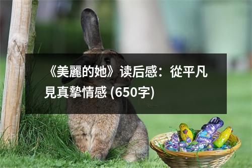《美麗的她》讀后感：從平凡見真摯情感 (650字)