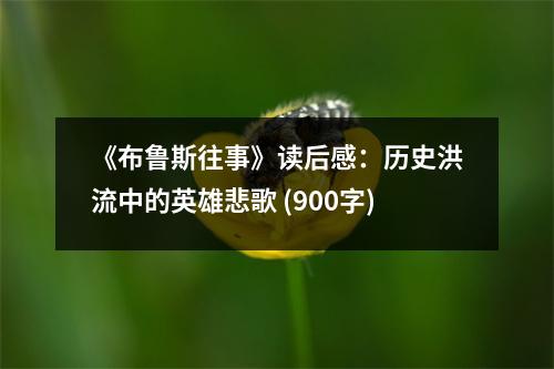 《布魯斯往事》讀后感：歷史洪流中的英雄悲歌 (900字)