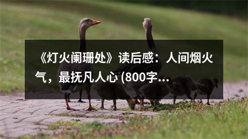 《燈火闌珊處》讀后感：人間煙火氣，最撫凡人心 (800字)
