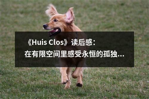 《Huis Clos》讀后感：在有限空間里感受永恒的孤獨 (1100字)