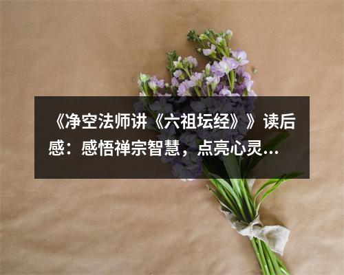 《凈空法師講《六祖壇經》》讀后感：感悟禪宗智慧，點亮心靈之光 (850字)