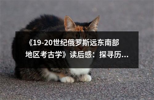 《19-20世紀(jì)俄羅斯遠(yuǎn)東南部地區(qū)考古學(xué)》讀后感：探尋歷史的神秘面紗 (850字)