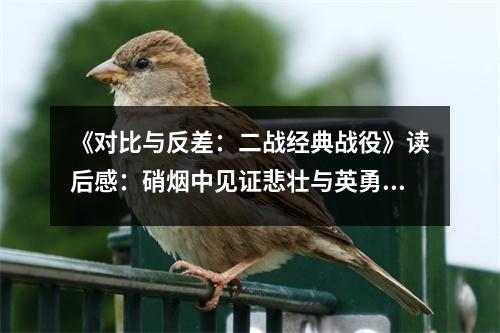 《對(duì)比與反差：二戰(zhàn)經(jīng)典戰(zhàn)役》讀后感：硝煙中見證悲壯與英勇 (900字)