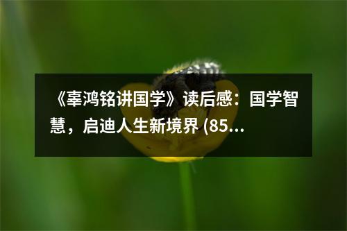 《辜鴻銘講國學(xué)》讀后感：國學(xué)智慧，啟迪人生新境界 (850字)