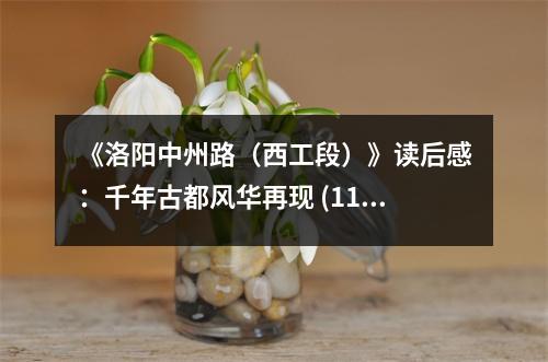 《洛陽中州路（西工段）》讀后感：千年古都風(fēng)華再現(xiàn) (1150字)