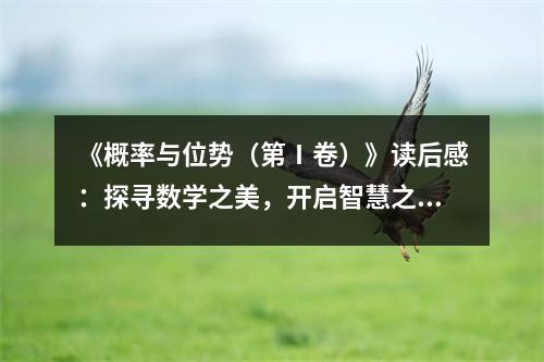 《概率與位勢（第Ⅰ卷）》讀后感：探尋數(shù)學之美，開啟智慧之旅 (700字)