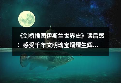 《劍橋插圖伊斯蘭世界史》讀后感：感受千年文明瑰寶熠熠生輝 (750字)