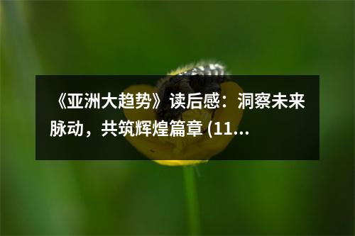 《亞洲大趨勢》讀后感：洞察未來脈動，共筑輝煌篇章 (1150字)