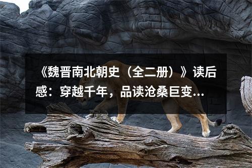 《魏晉南北朝史（全二冊(cè)）》讀后感：穿越千年，品讀滄桑巨變 (750字)