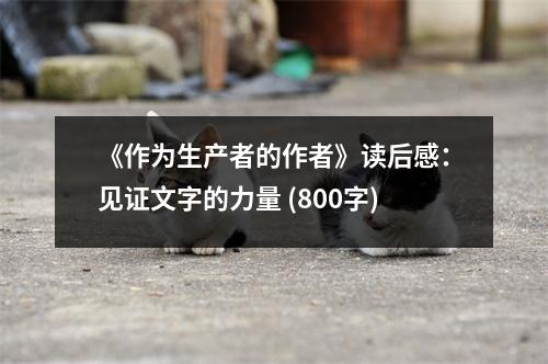《作為生產(chǎn)者的作者》讀后感：見證文字的力量 (800字)