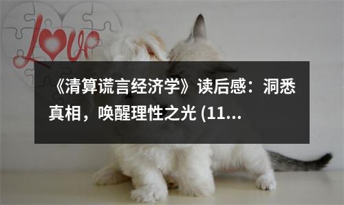 《清算謊言經(jīng)濟(jì)學(xué)》讀后感：洞悉真相，喚醒理性之光 (1100字)