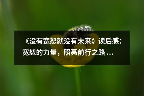 《沒(méi)有寬恕就沒(méi)有未來(lái)》讀后感：寬恕的力量，照亮前行之路 (850字)