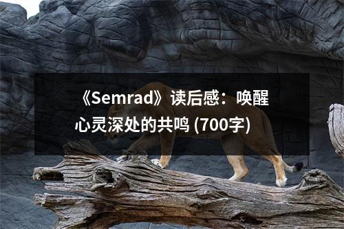 《Semrad》讀后感：喚醒心靈深處的共鳴 (700字)