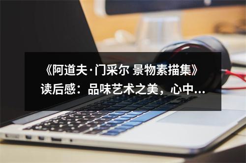 《阿道夫·門采爾 景物素描集》讀后感：品味藝術(shù)之美，心中涌動(dòng)詩(shī)意 (1050字)