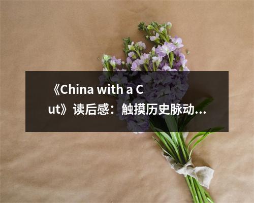《China with a Cut》讀后感：觸摸歷史脈動(dòng) (800字)