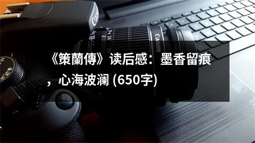 《策蘭傳》讀后感：墨香留痕，心海波瀾 (650字)