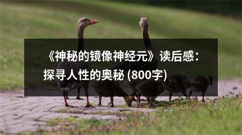 《神秘的鏡像神經(jīng)元》讀后感：探尋人性的奧秘 (800字)