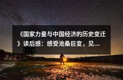 《國家力量與中國經(jīng)濟的歷史變遷》讀后感：感受滄桑巨變，見證民族復(fù)興 (750字)