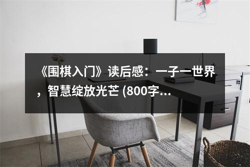 《圍棋入門(mén)》讀后感：一子一世界，智慧綻放光芒 (800字)