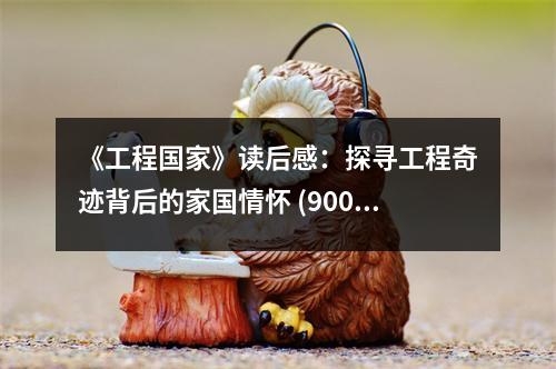《工程國(guó)家》讀后感：探尋工程奇跡背后的家國(guó)情懷 (900字)