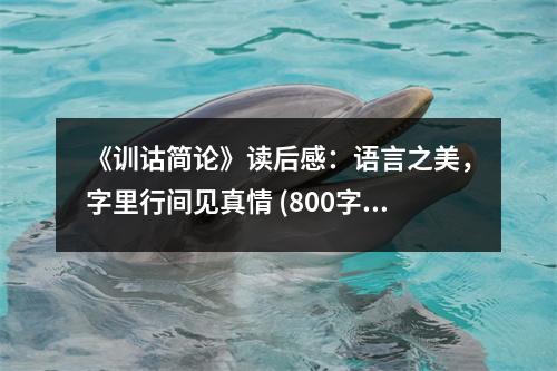 《訓(xùn)詁簡(jiǎn)論》讀后感：語言之美，字里行間見真情 (800字)