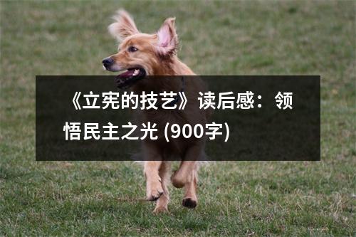 《立憲的技藝》讀后感：領(lǐng)悟民主之光 (900字)