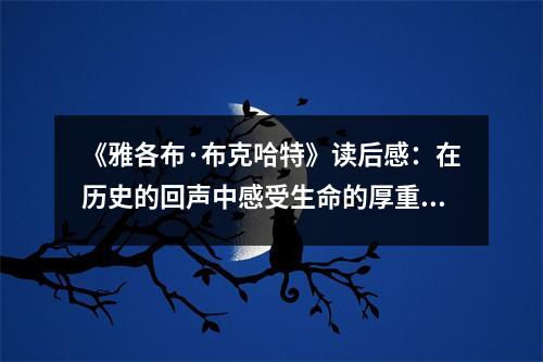 《雅各布·布克哈特》讀后感：在歷史的回聲中感受生命的厚重 (850字)