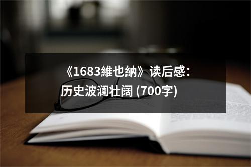 《1683維也納》讀后感：歷史波瀾壯闊 (700字)