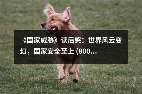 《國(guó)家威脅》讀后感：世界風(fēng)云變幻，國(guó)家安全至上 (800字)