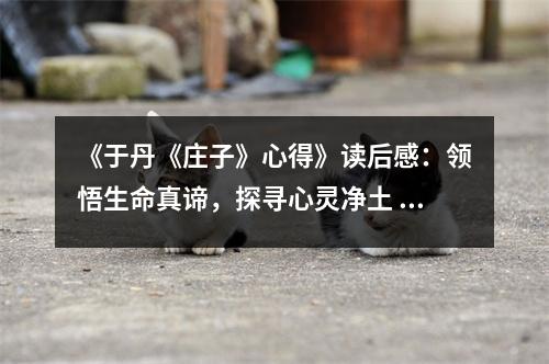 《于丹《莊子》心得》讀后感：領(lǐng)悟生命真諦，探尋心靈凈土 (1200字)