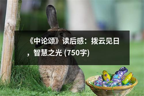 《中論頌》讀后感：撥云見日，智慧之光 (750字)