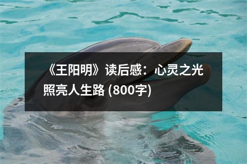 《王陽明》讀后感：心靈之光照亮人生路 (800字)