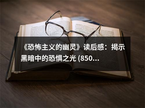 《恐怖主義的幽靈》讀后感：揭示黑暗中的恐懼之光 (850字)